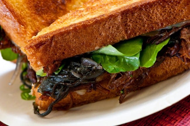 Short Rib and Vermont Cheddar Sandwich